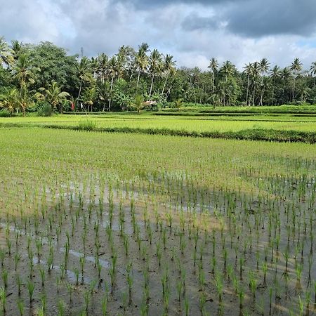 New 4 Bedroom Villa Surrounded By Jungle And Ricefields Ubud Esterno foto