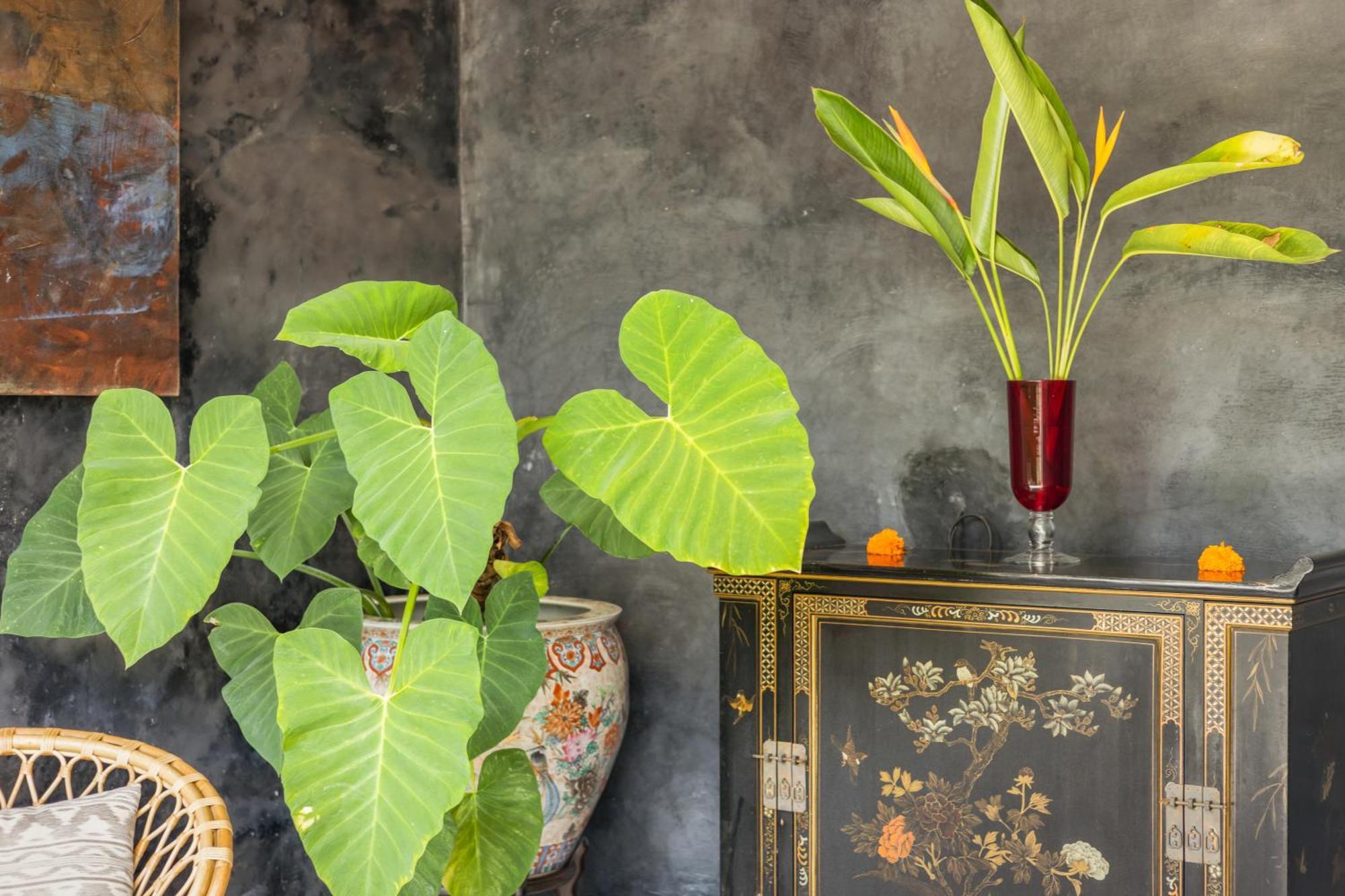 New 4 Bedroom Villa Surrounded By Jungle And Ricefields Ubud Esterno foto
